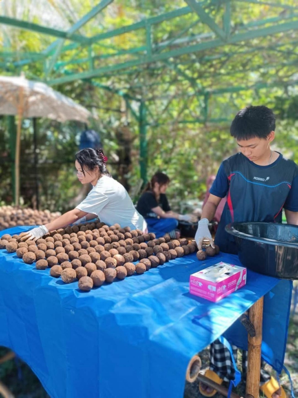 ล่องเรือ